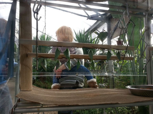  儿童教育和乐趣